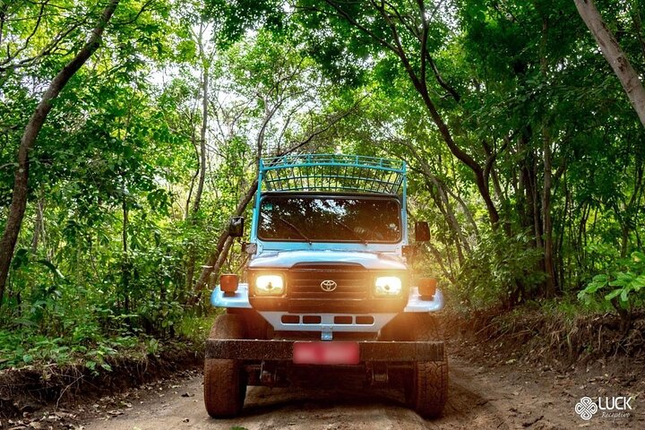Full Day Tour on the Coqueirais Trail