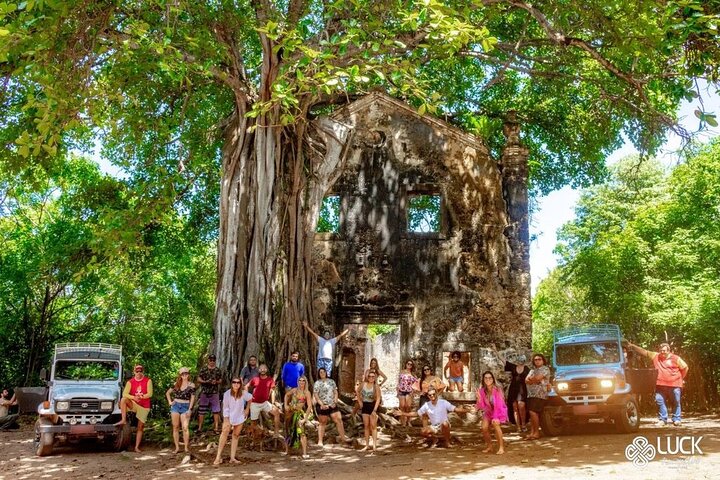 Full Day Tour on the Coqueirais Trail