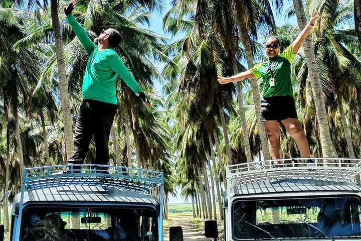 Full Day Tour on the Coqueirais Trail