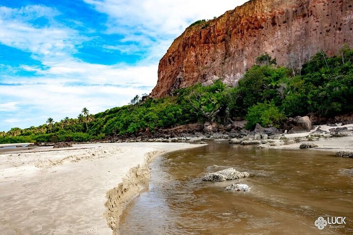 Full Day Tour on the Coqueirais Trail