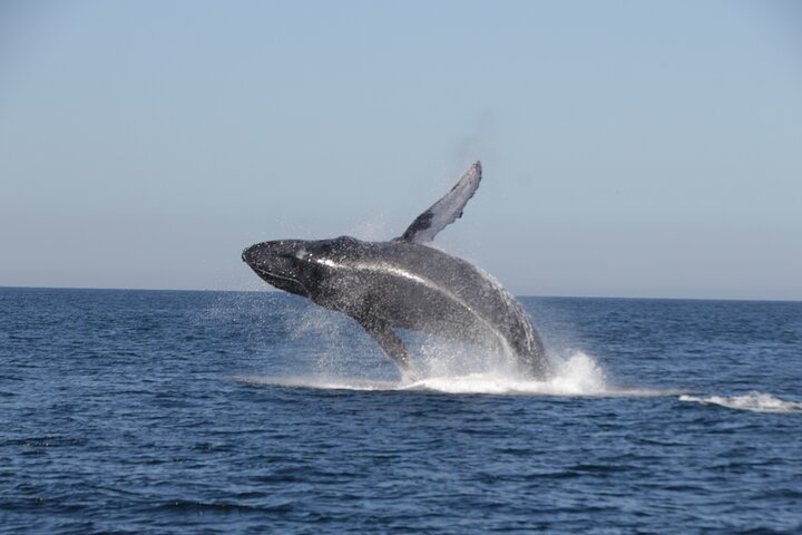 Marietas Islands National Park: Full Day ALL INCLUSIVE Tour