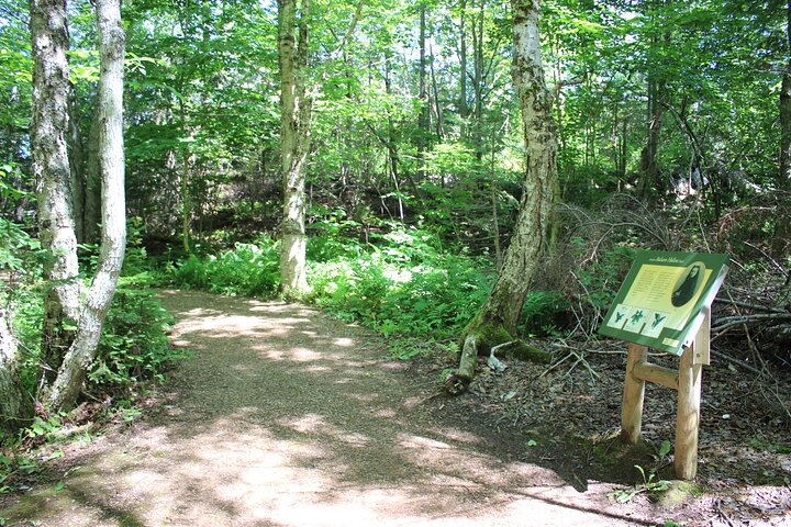 Green Gables House & Our Island Experience
