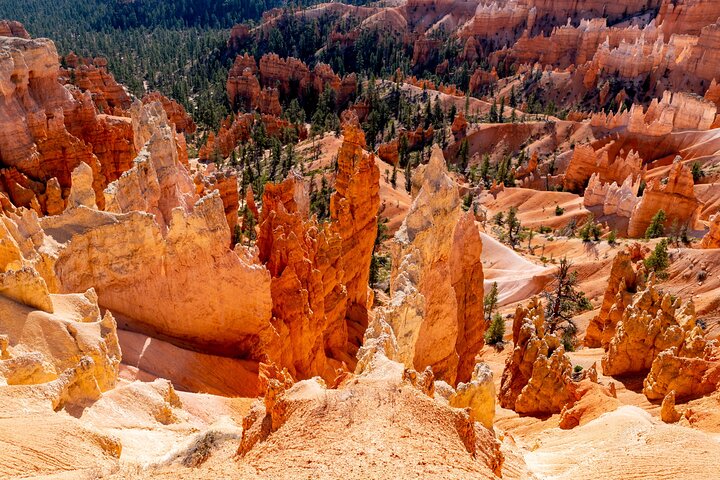 Shuttle between Las Vegas, Bryce Canyon, Zion National Park and St George