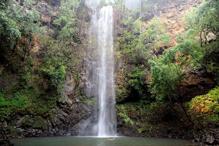 Kauai: Secret Falls Kayak and Hike