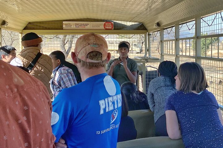 Half Day Lion Park tour from Johannesburg or Pretoria