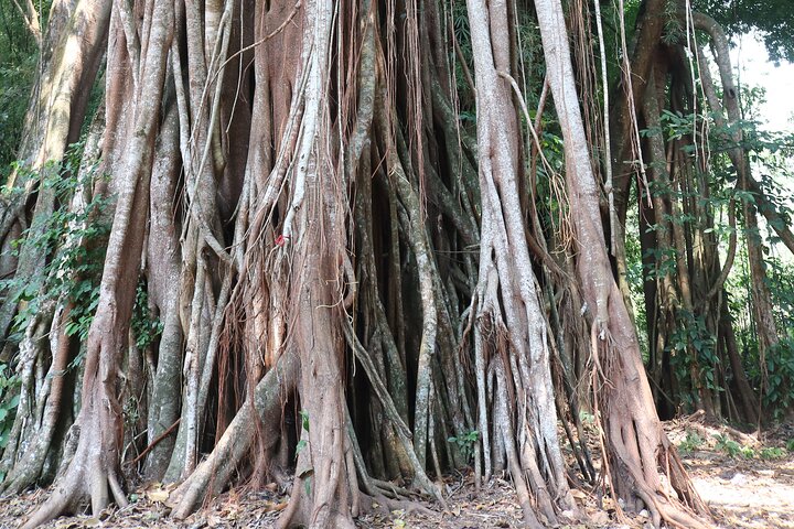 Calandula Falls - Overnight Tour in Malange