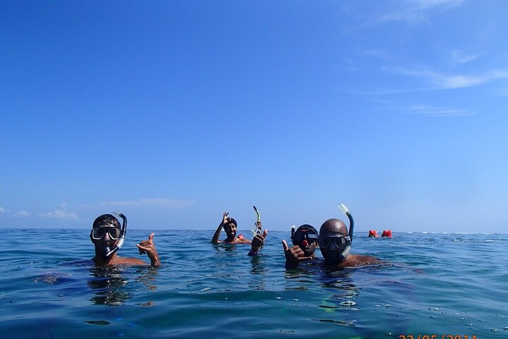 FullDay Cahuita Snorkel, Sloth Sanctuary from Puerto ViejodeLimón