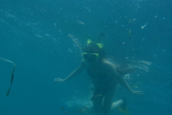 FullDay Cahuita Snorkel, Sloth Sanctuary from Puerto ViejodeLimón