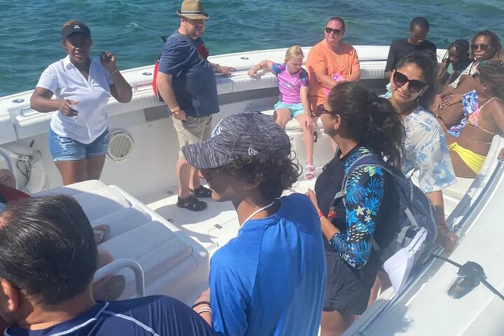Swimming with Pigs in Nassau, Transportation Included