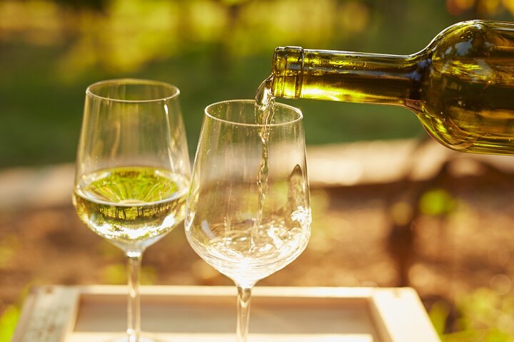Cinque Terre: Authentic Pesto Cooking Class & Wine in Manarola