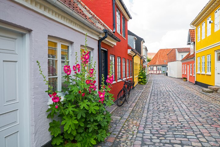 Private Heritage Walking Tour in Odense Historic Center