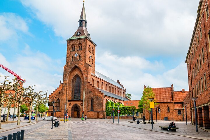 Private Heritage Walking Tour in Odense Historic Center