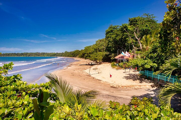 FullDay Cahuita Snorkel, Sloth Sanctuary from Puerto ViejodeLimón