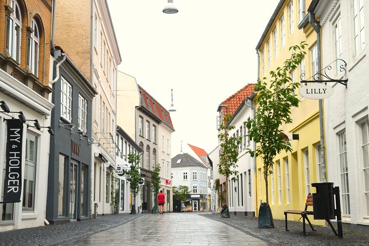 Private Cultural Walk in Historic Aalborg