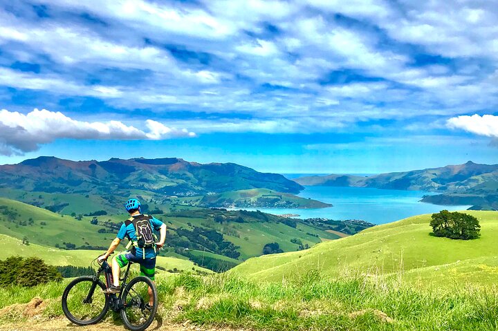 Guided Electric Mountain Bike Tour- Akaroa Explorer