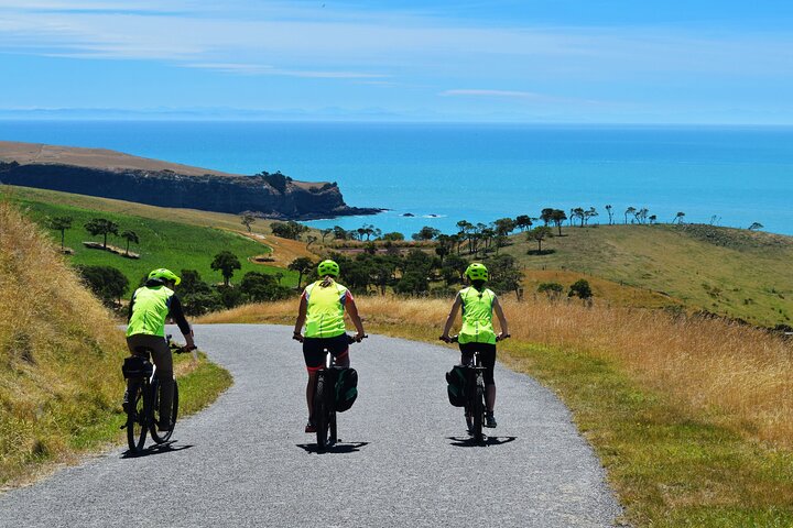 Guided Electric Mountain Bike Tour- Akaroa Explorer
