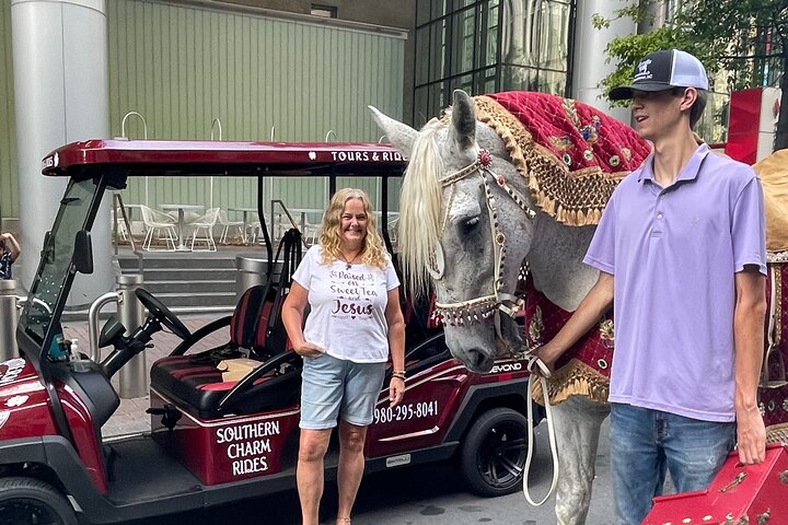 Charlotte's Ultimate Southern Charm Historical City Cart Tour