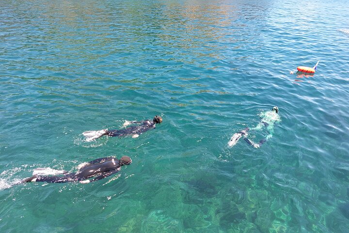 Third Island: Ilhéu das Cabras Boat Tour + Snorkeling