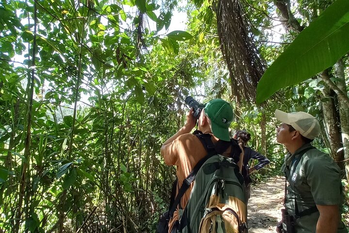 Amazon Jungle & Baños Adventure City: 4 Days of Nature & Wildlife