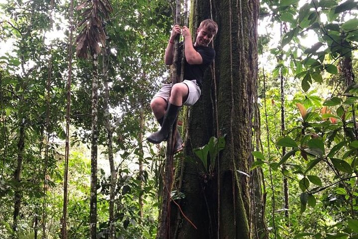 Amazon Jungle & Baños Adventure City: 4 Days of Nature & Wildlife