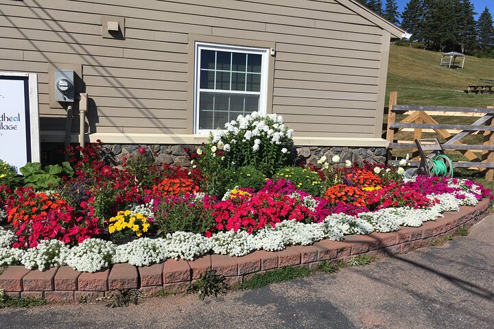 Blackwood Tours: Highland Village, Baddeck, Bell Museum Tour
