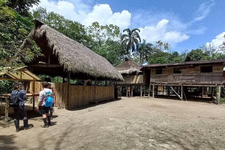 Amazon Jungle & Baños Adventure City: 4 Days of Nature & Wildlife