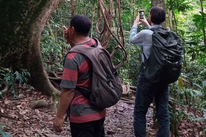 Medan - Bukit Lawang Fullday Tour