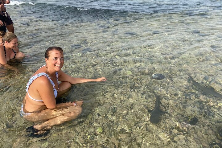 Sal Island Half-Day Pedra de Lume, Salt Lake & Shark Bay
