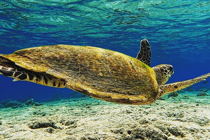 Maldives Adventure Trip