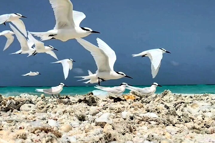 Maldives Adventure Trip