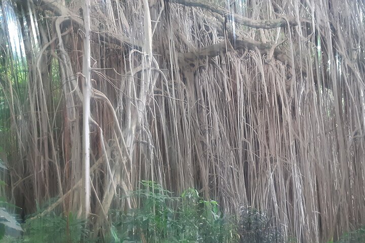 Full-Day Private Tour to Yakel Village, Waterfall and Mt Yasur Volcano
