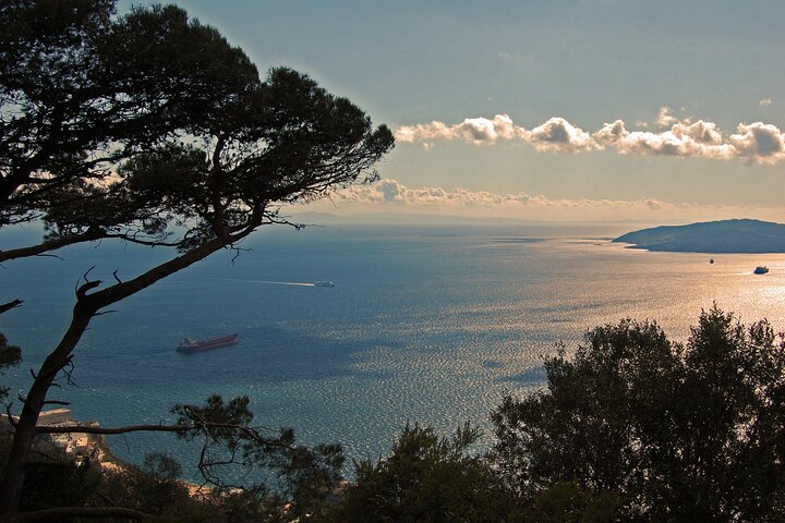 Rock Tour in Gibraltar by Bus with Tickets