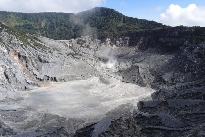 Active Volcano, Rice Field, Hot Spring, Fruit market, Tea Plantation with Lunch