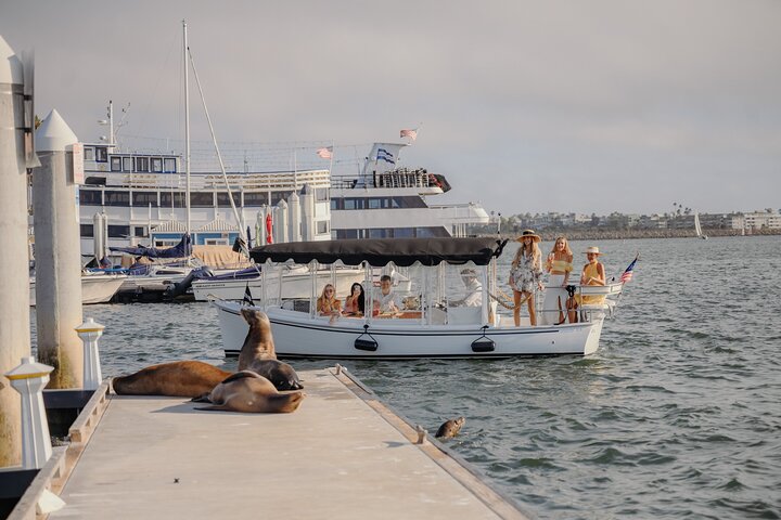 Luxury Shared E-Boat Cruise with Wine, Charcuterie & Sea Lions Spotting