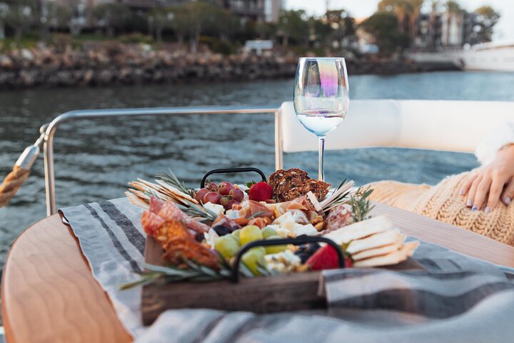 Luxury Shared E-Boat Cruise with Wine, Charcuterie & Sea Lions Spotting