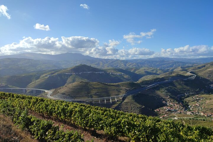 Douro Valley unforgettable experiences