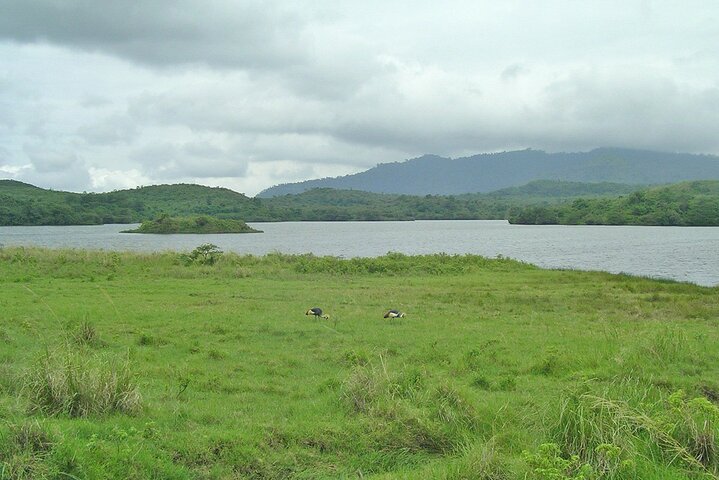Walking Safari, Canoe & Game Drive – Arusha National Park