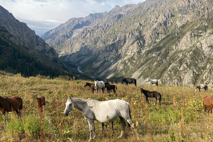 All in one-day: Bishkek city tour and Ala-Archa National Park