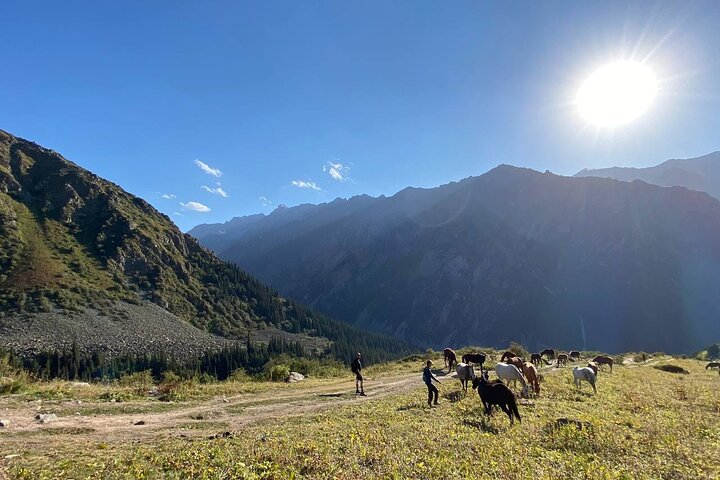 All in one-day: Bishkek city tour and Ala-Archa National Park
