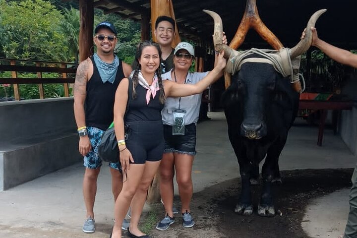 Super Combo: 7 activities in 1 day + Natural hot springs.