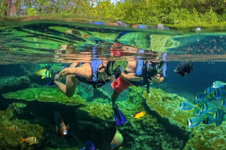 Xel-Ha Tickets with Transportation included