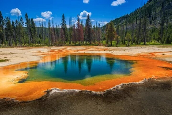 From Jackson Hole: Yellowstone Old Faithful, Waterfalls and Wildlife Day Tour