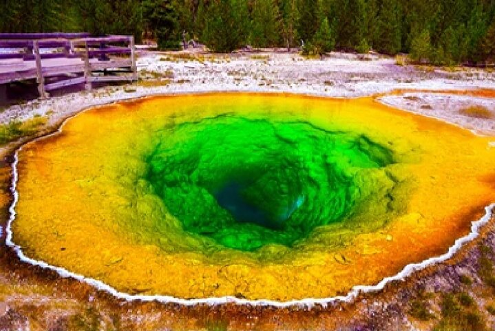 From Jackson Hole: Yellowstone Old Faithful, Waterfalls and Wildlife Day Tour