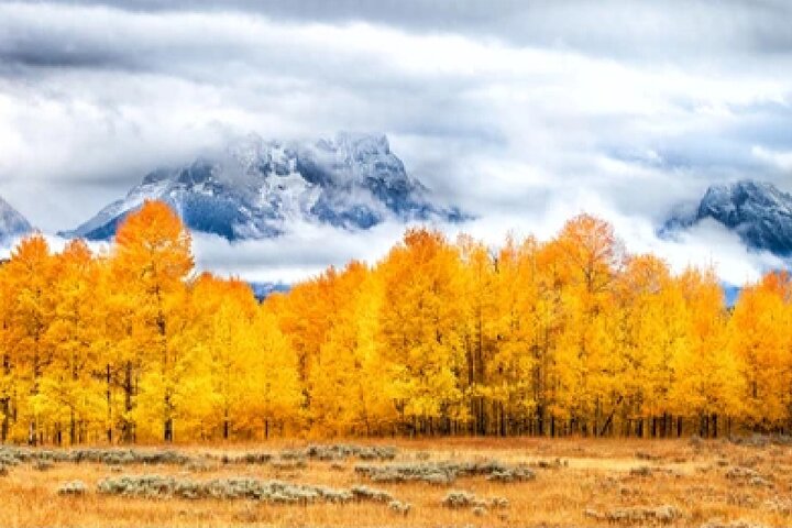 From Jackson Hole: Yellowstone Old Faithful, Waterfalls and Wildlife Day Tour