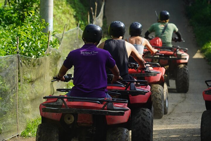 Bali Quad Bike Through Gorilla Cave - Monkey Forest and Waterfall