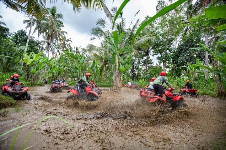 Bali Quad Bike Through Gorilla Cave - Monkey Forest and Waterfall