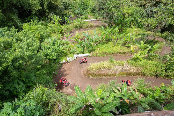 Bali Quad Bike Through Gorilla Cave - Monkey Forest and Waterfall