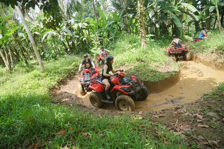 Bali Quad Bike Through Gorilla Cave - Monkey Forest and Waterfall