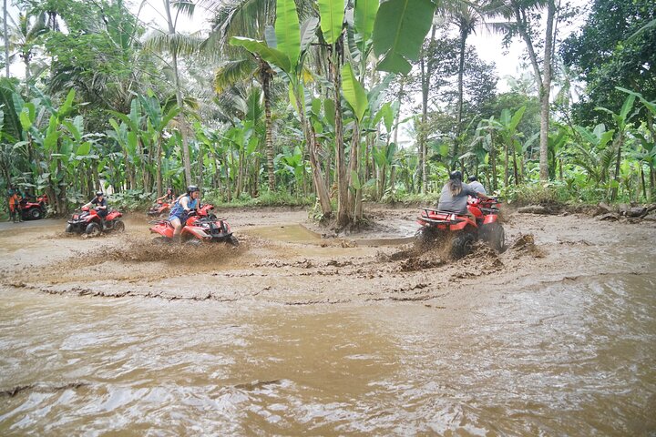 Bali Quad Bike Through Gorilla Cave - Monkey Forest and Waterfall
