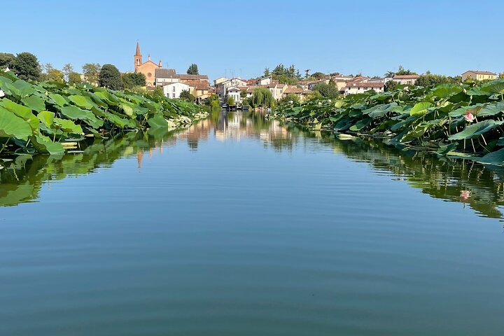 Private SUP tour in Mantua Città d'Acqua